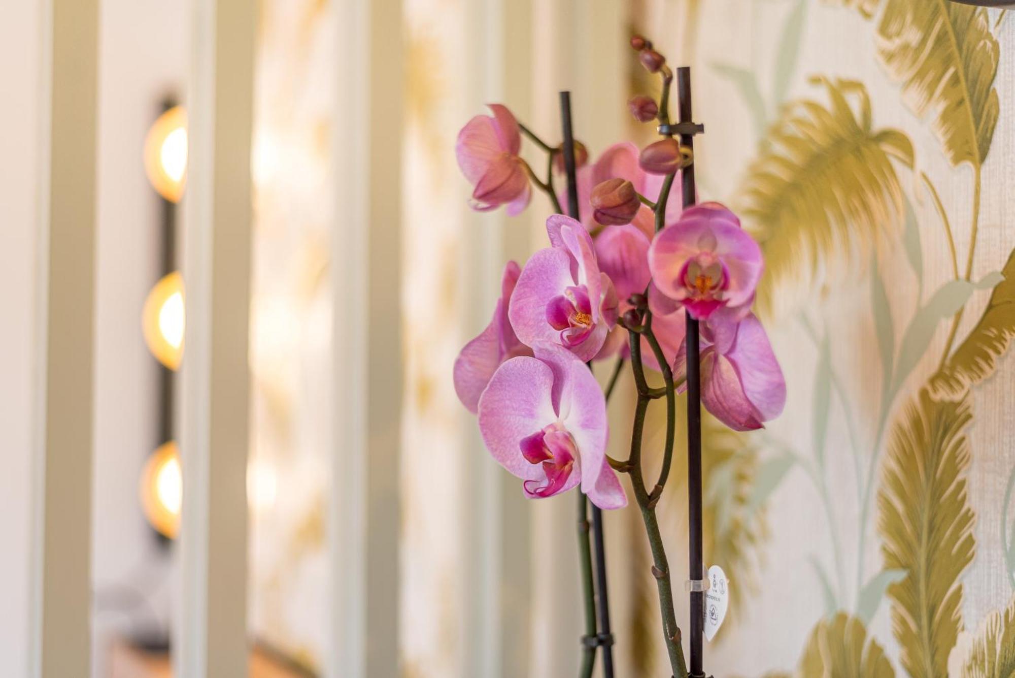 Urban Luxe Studio Torremoilinos Torremolinos Zewnętrze zdjęcie
